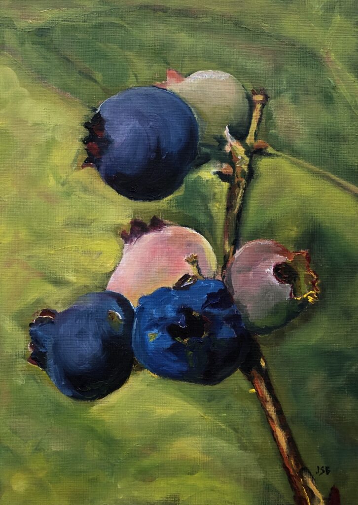 Oil painting, close up of a group of blueberries on a slender branch of the blueberry bush. three ripe blueberries and three unripe berries in pinks and greens.