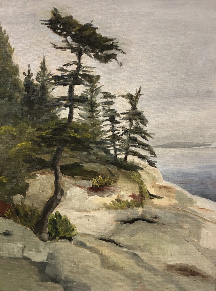 Oil painting of evergreen tree on rocks