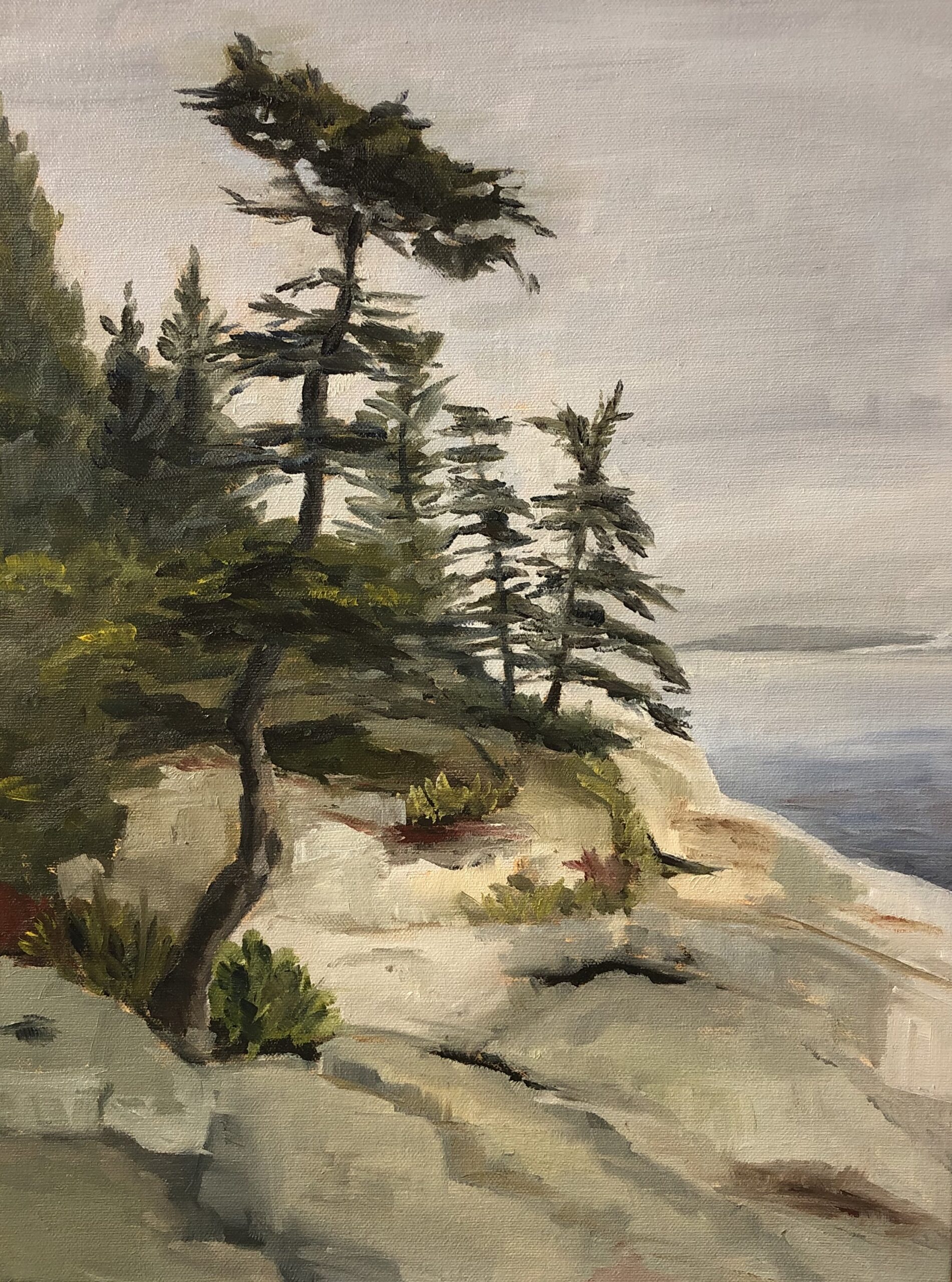 Oil painting of evergreen tree on rocks