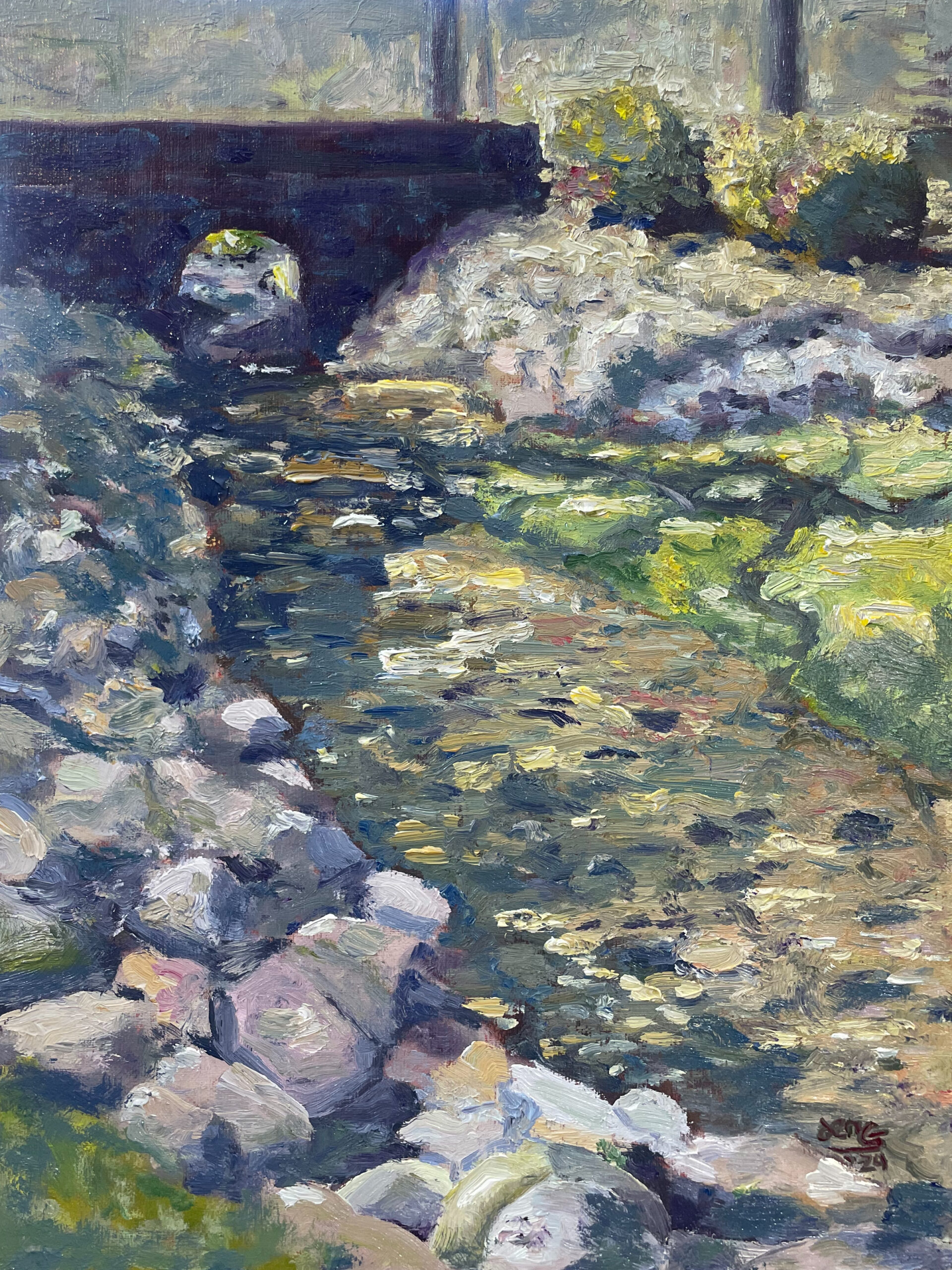 Creek Bed with Shadows and Light